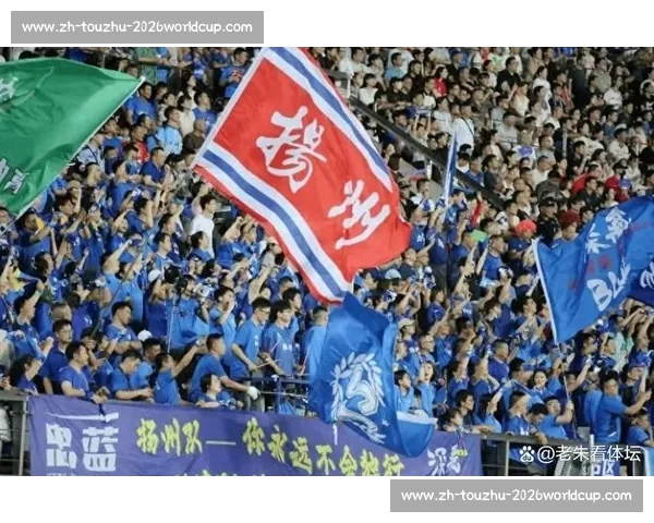 苏超模式引燃全国：多省市城市联赛取经本土化实践